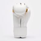 Leone  X IUTER GNTIA PuGAXIAS -white